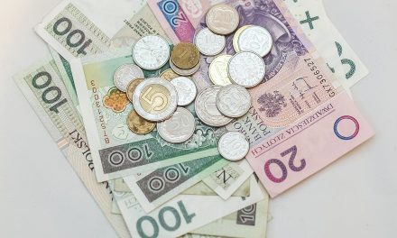 Szef Polskiego Funduszu Rozwoju ostrzega przed gospodarczymi fakenewsami