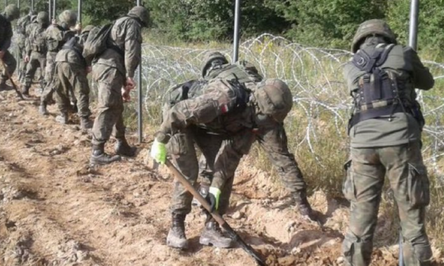 Jeleń zabity przez płot przy granicy Polski z Białorusią? Sprawdzamy