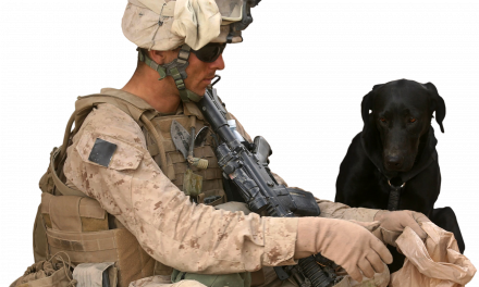 Amerykanie zostawili wojskowe psy na pastwę Talibów? Sprawdzamy